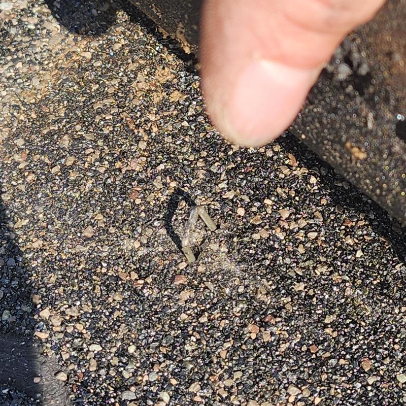 Asphalt shingle with embedded bent nail causing leak