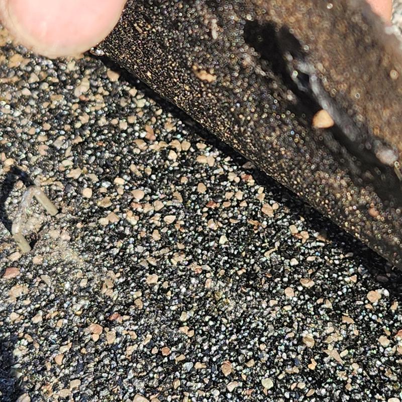 Asphalt shingle roof with lifted edge and granule loss