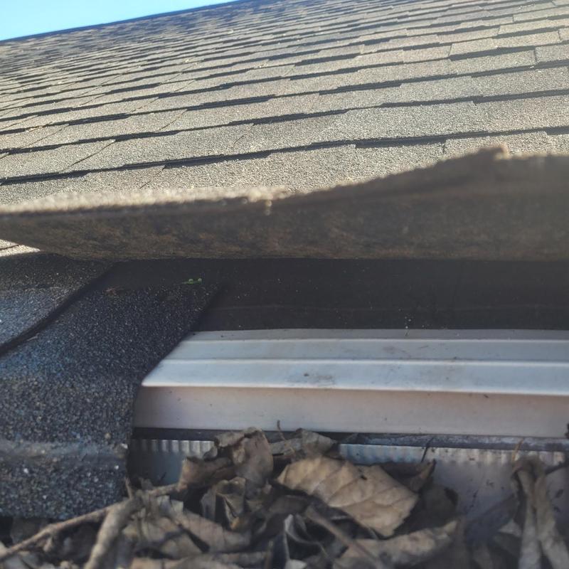 Roof shingles lifted revealing debris in gutter edge