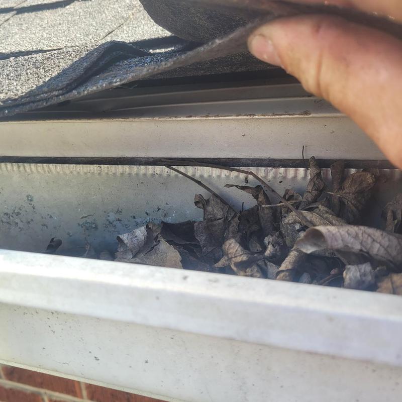 Roof gutter filled with dry leaves under lifted shingle