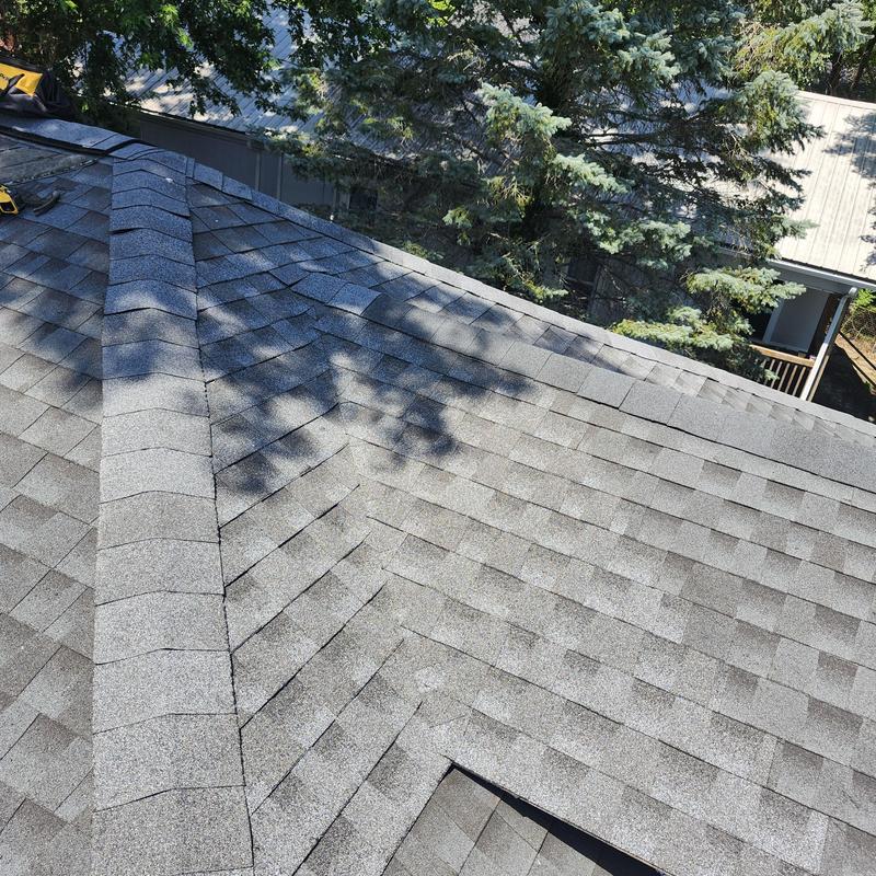 Asphalt shingle roof with ridge vent and nearby trees