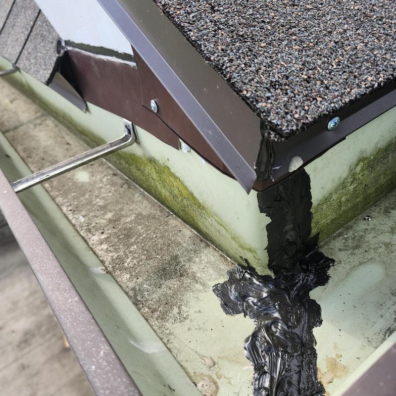 Roof shingles and drip edge with sealant applied near gutter