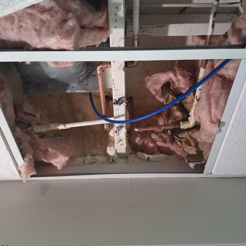Copper and PEX piping with insulation in ceiling cavity Copper and PEX piping with insulation in ceiling cavity
