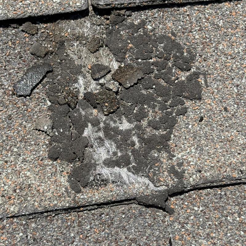 Shingle roof granule loss and surface damage detail Shingle roof granule loss and surface damage detail