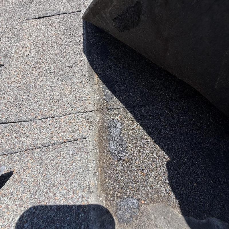 Shingle roof close-up showing granule loss and wear Shingle roof close-up showing granule loss and wear