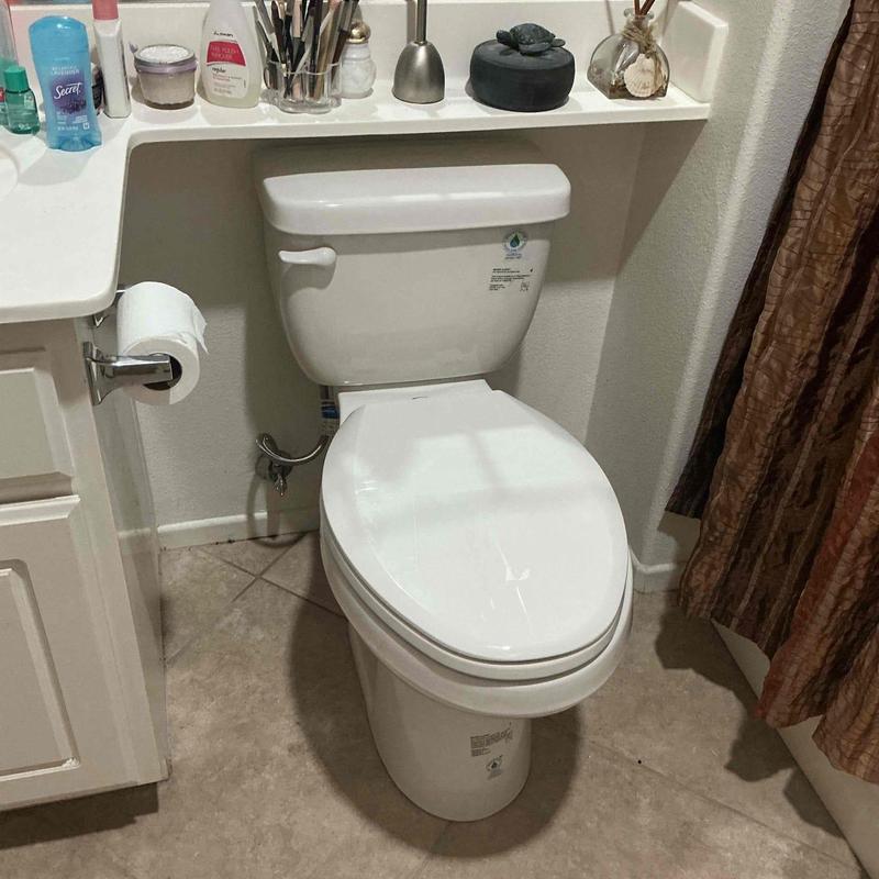 Toilet with new wax ring and water supply line