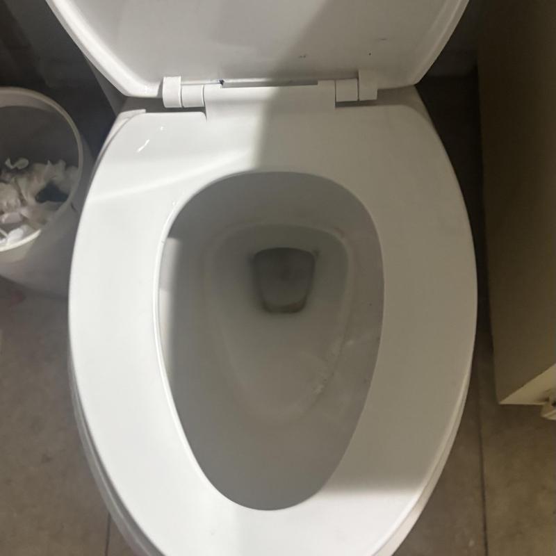 Toilet bowl and seat with open lid