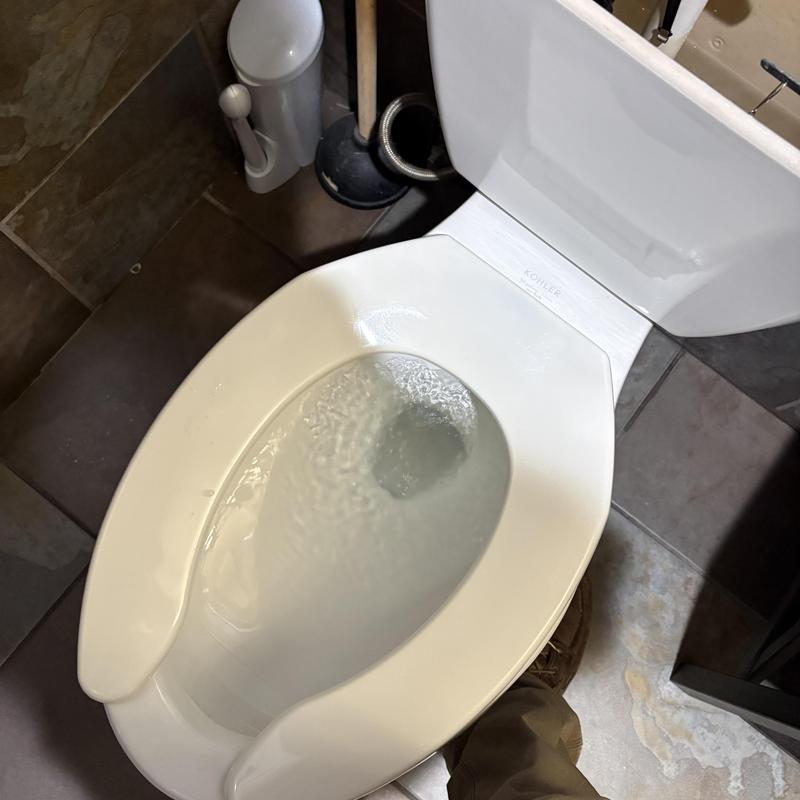 Toilet bowl flushing and auger cleaning in bathroom