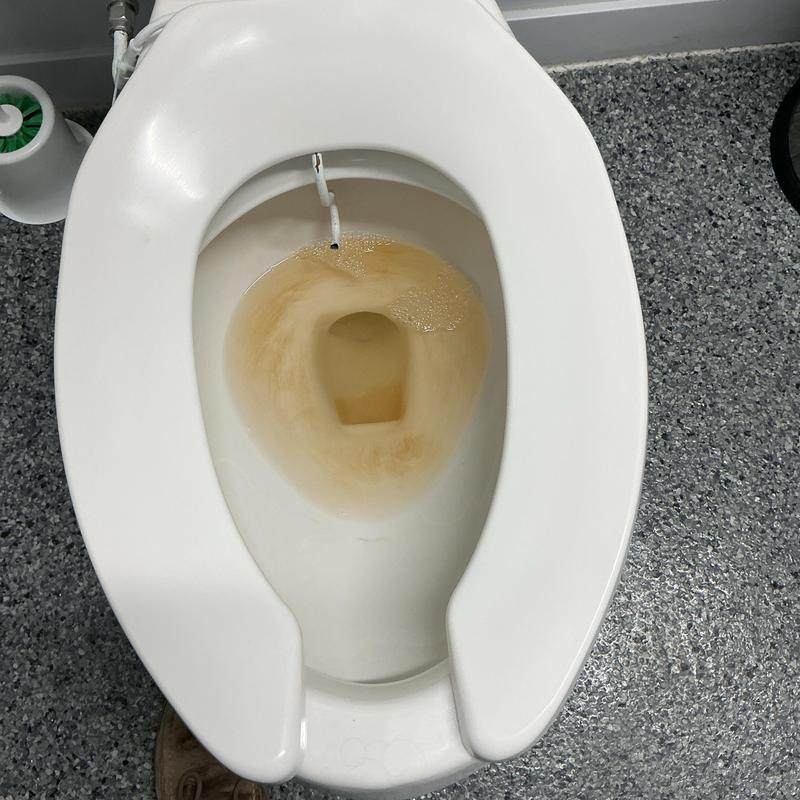 Toilet bowl with sediment discoloration and fill valve line Toilet bowl with sediment discoloration and fill valve line