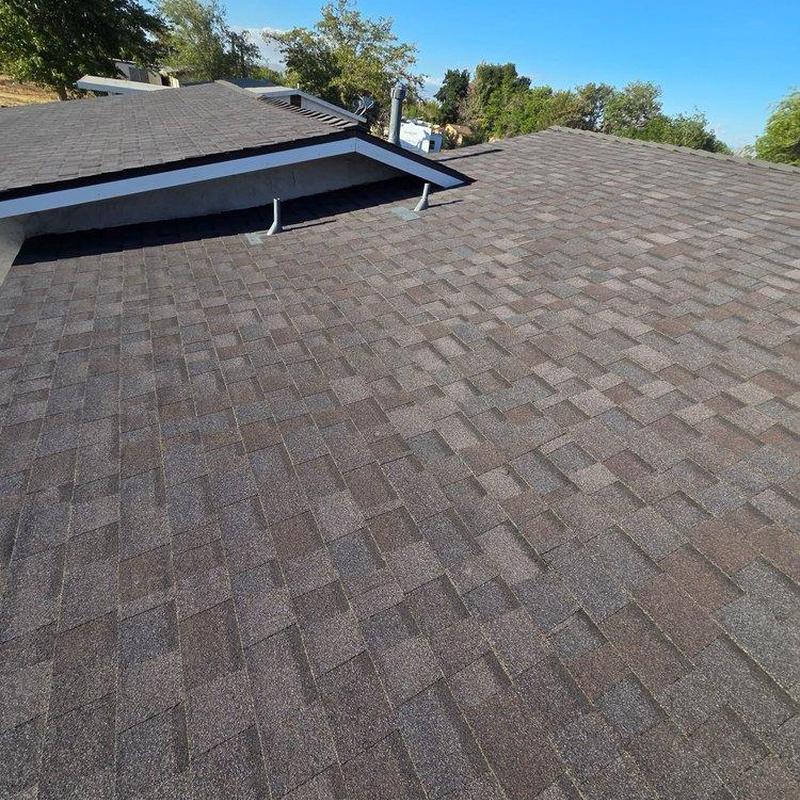Shingle roof surface with vent pipes and ridge line Shingle roof surface with vent pipes and ridge line