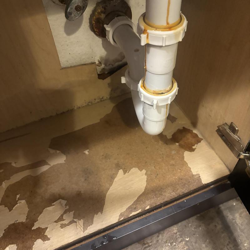 P-trap drain line with water damage under sink cabinetry