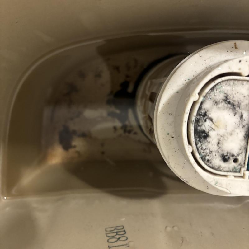 Toilet tank flush valve with mineral buildup