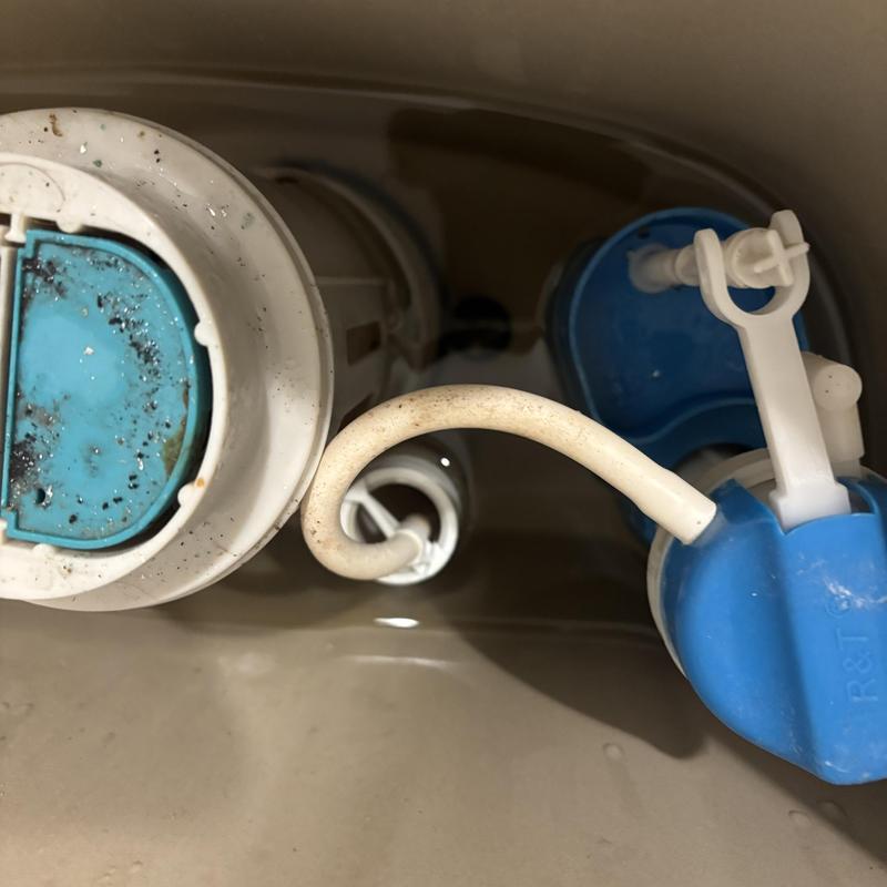Toilet tank flush valve and fill valve assembly close-up