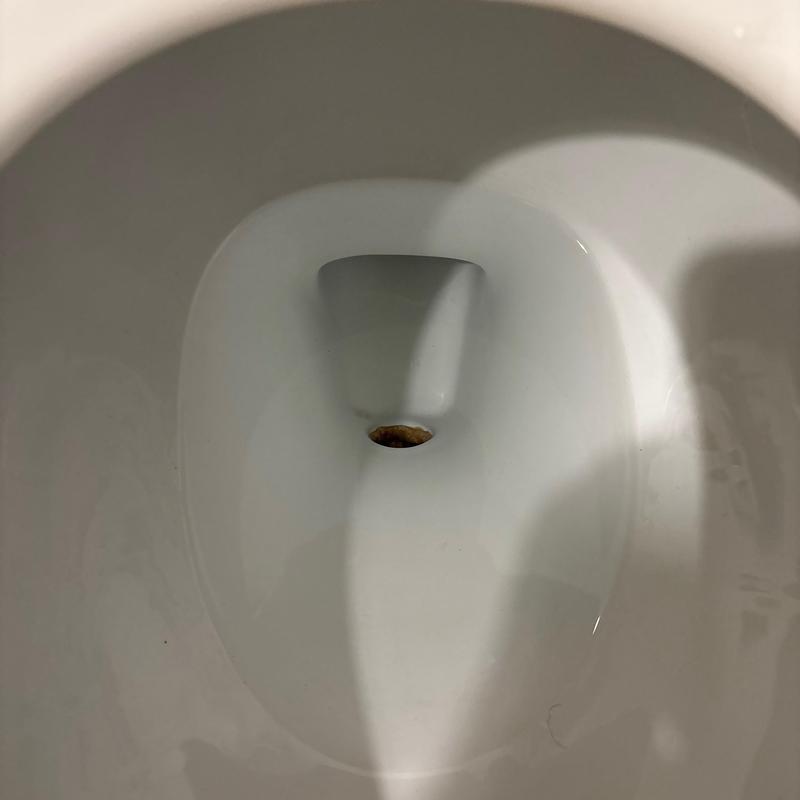 Toilet bowl slow draining with visible water line