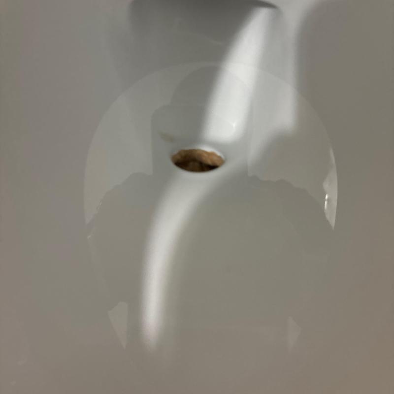 Toilet drain hole with slow flushing issue