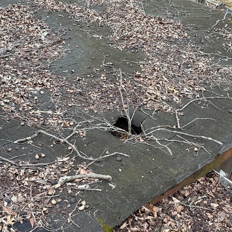 Asphalt shingle roof with large hole and debris buildup