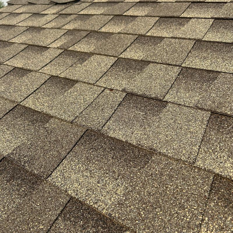 Asphalt shingle roof close-up during detailed inspection Asphalt shingle roof close-up during detailed inspection