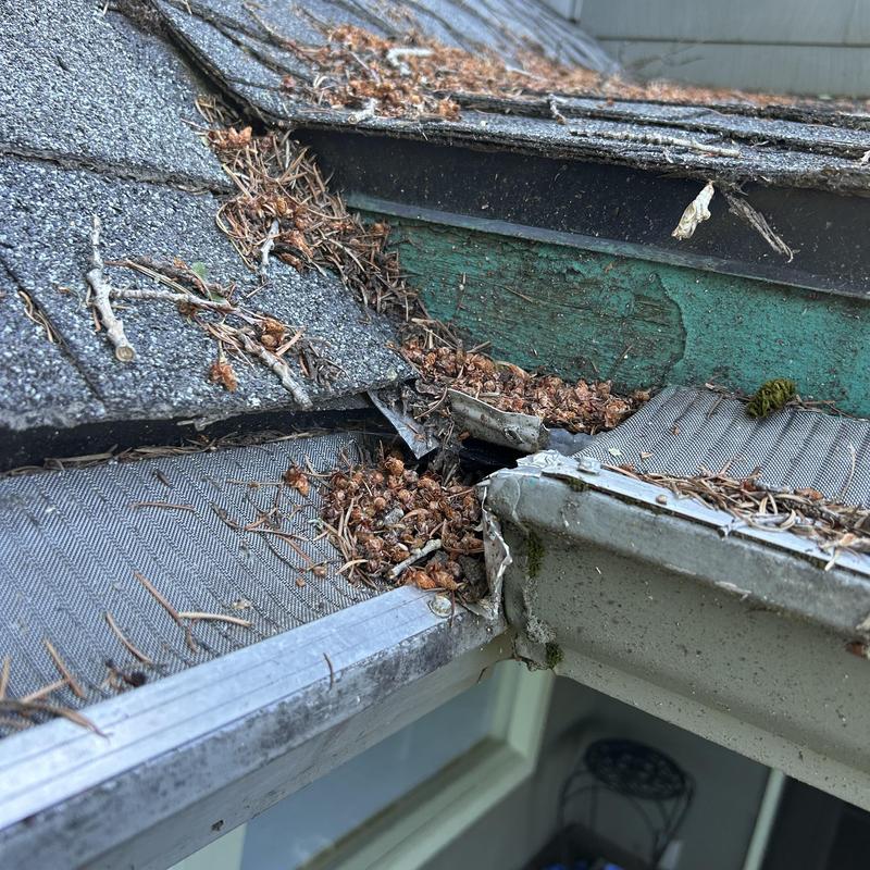 Gutter with debris and damaged shingles on roof edge Gutter with debris and damaged shingles on roof edge