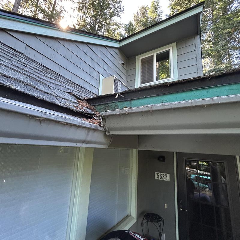 Gutters with debris near roof shingles and house exterior Gutters with debris near roof shingles and house exterior