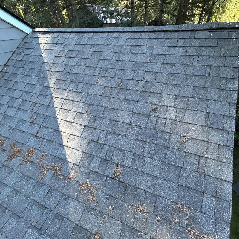 Asphalt shingle roof with debris before cleaning in Hayden, ID Asphalt shingle roof with debris before cleaning in Hayden, ID