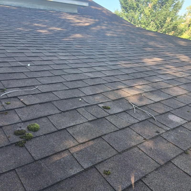 Shingle roof with moss growth and debris on surface