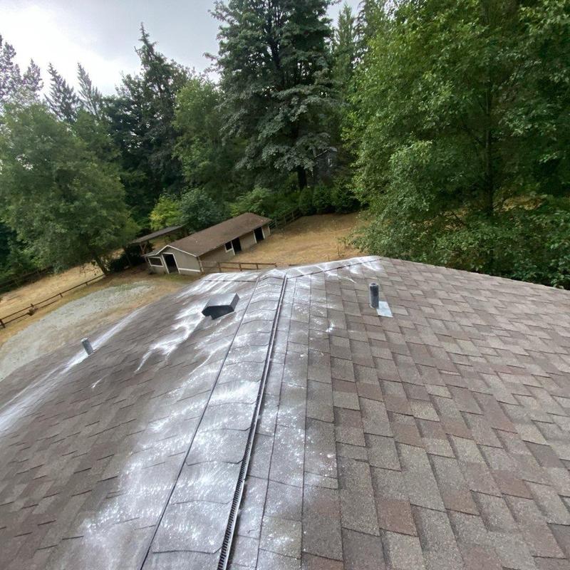 Roof shingles with moss treatment applied