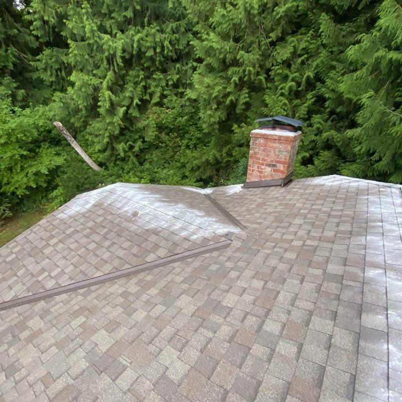 Roof shingles with moss treatment and debris removal