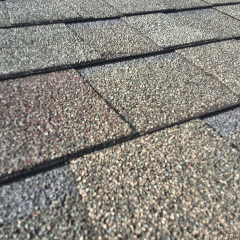 Asphalt shingle roof close-up showing granule texture
