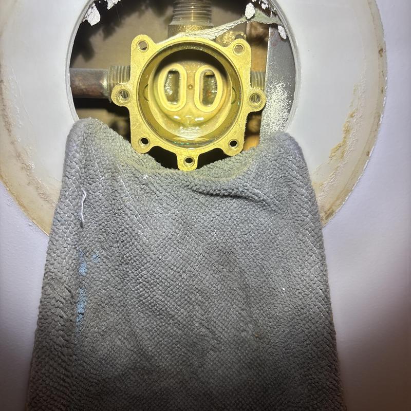 Price Pfister shower cartridge housing with towel