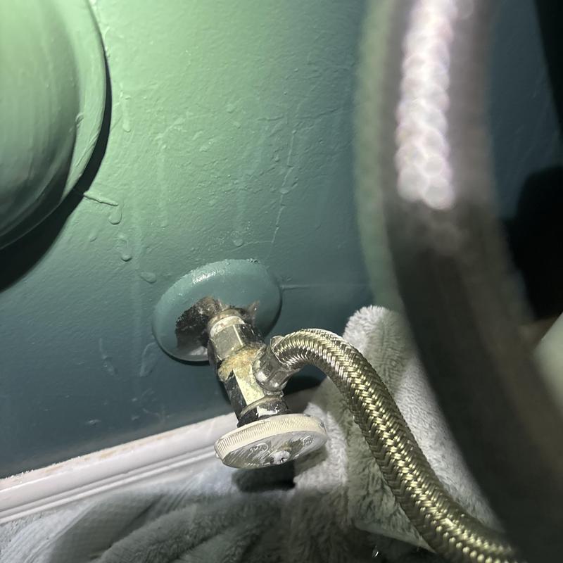 Quarter turn angle stop valve with braided hose connection