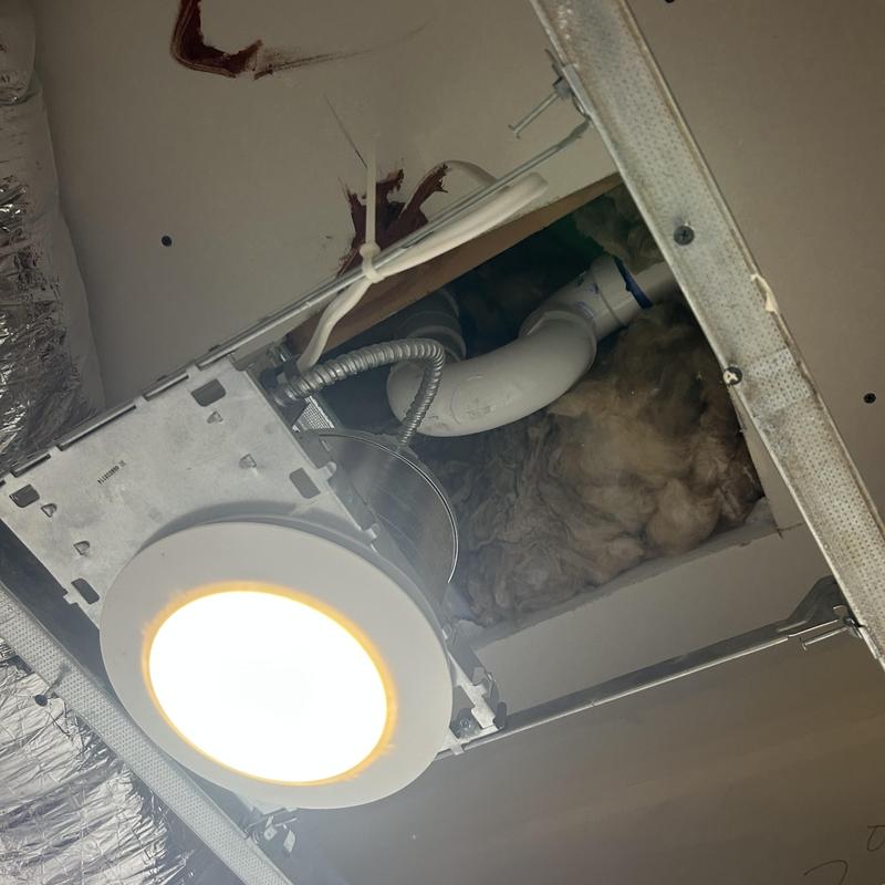 Shower drain and PVC piping above ceiling access Shower drain and PVC piping above ceiling access