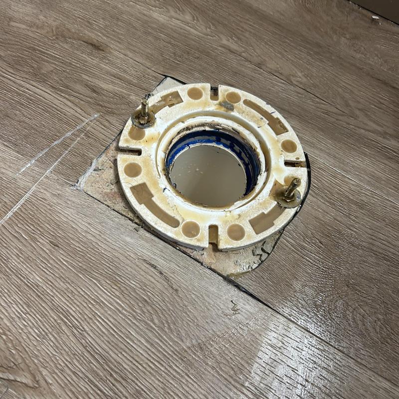 Shower drain flange with toilet mounting bolts on floor Shower drain flange with toilet mounting bolts on floor