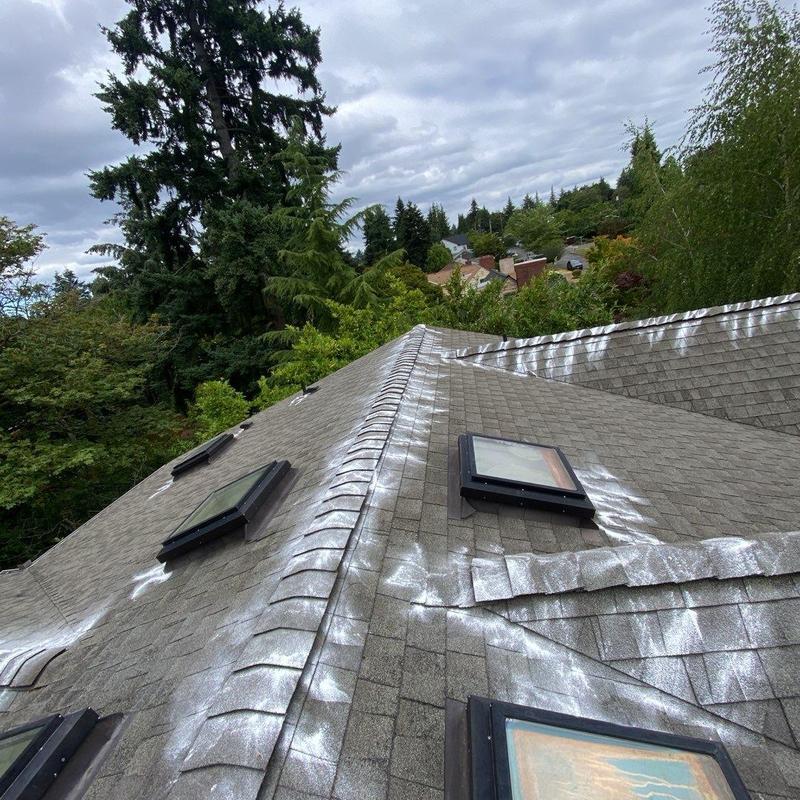 Roof shingles with moss treatment and skylights