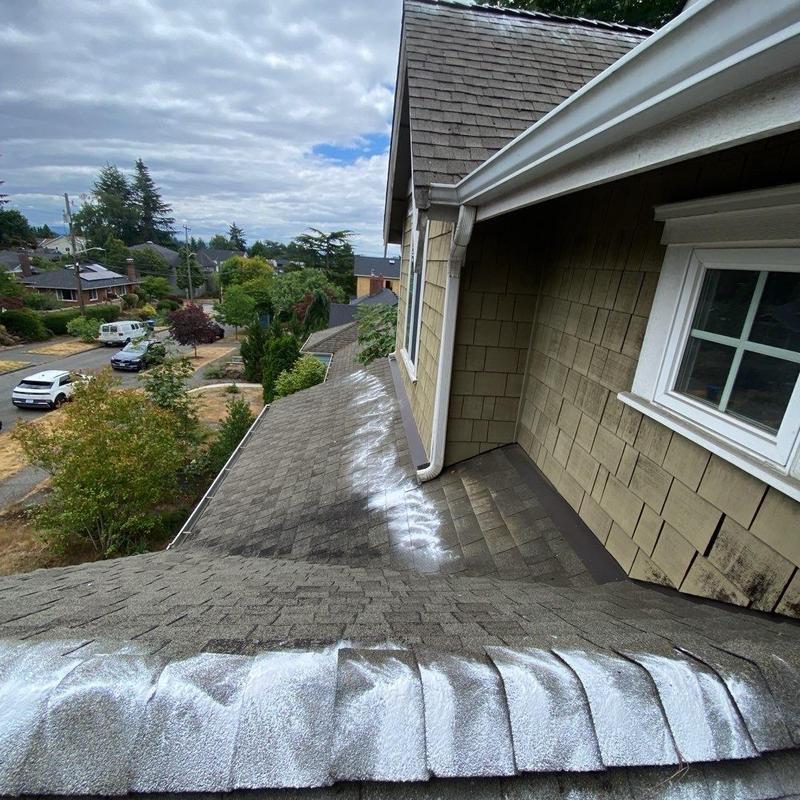 Roof shingles with moss treatment application on residential roof