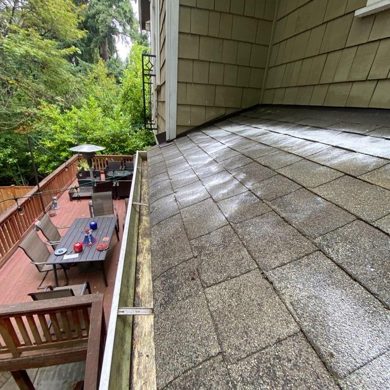 Roof shingles with cleaned gutters and moss treatment