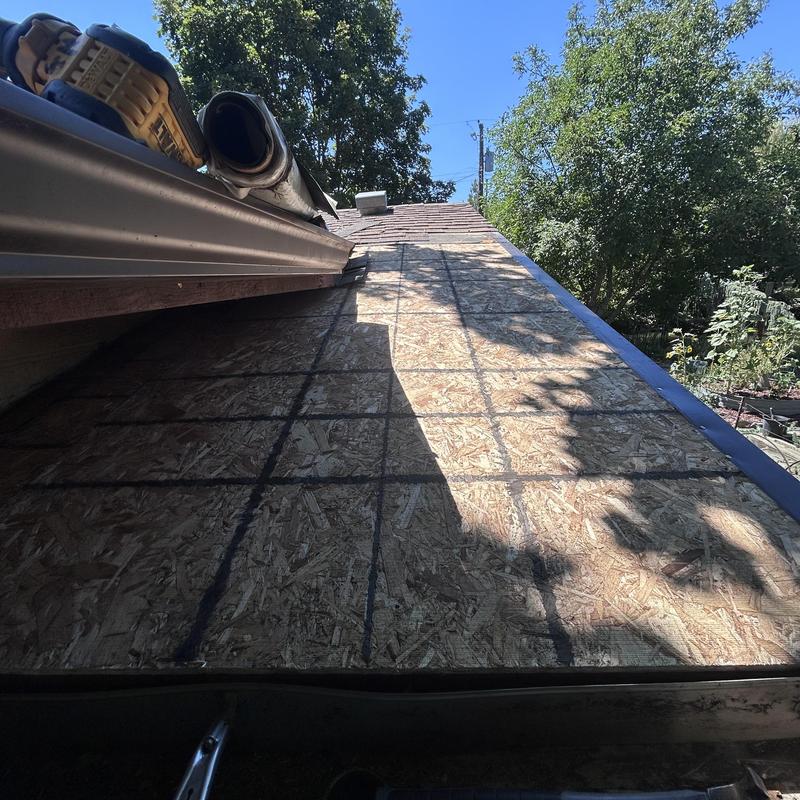 OSB roof sheathing with new bracing under daylight OSB roof sheathing with new bracing under daylight