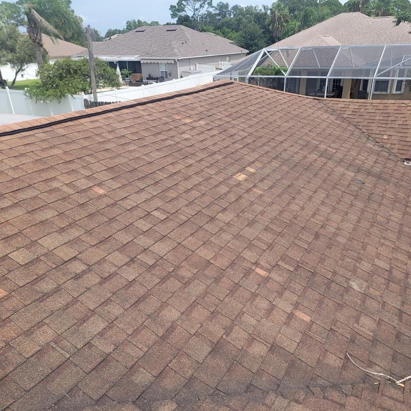 Asphalt shingle roof with wind and hail damage signs Asphalt shingle roof with wind and hail damage signs