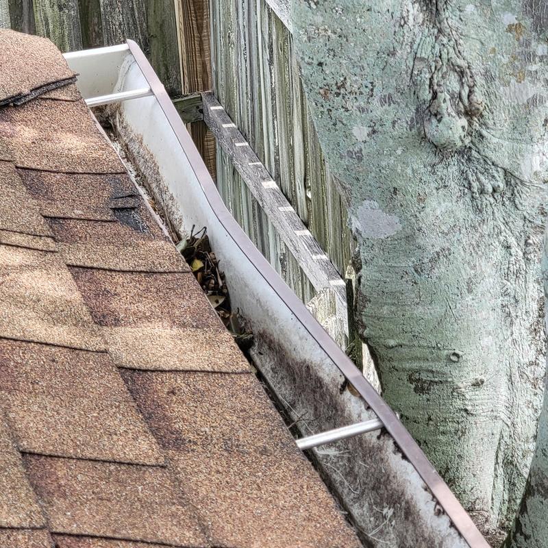 Roof gutter with debris buildup near tree trunk Roof gutter with debris buildup near tree trunk