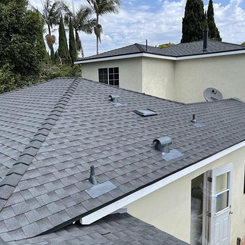 Shingle roof with vent pipes and skylight Shingle roof with vent pipes and skylight