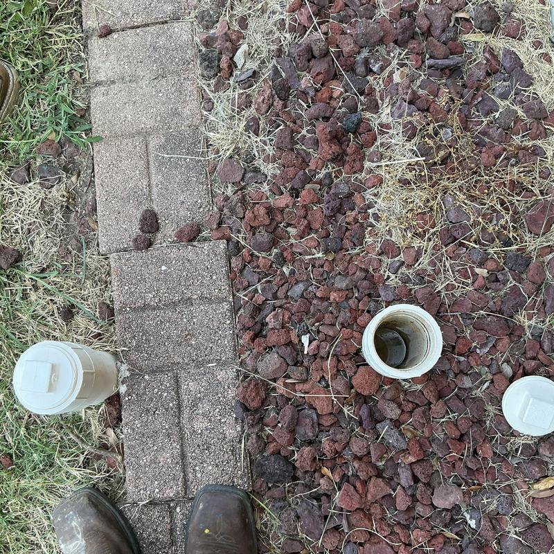 Sewer cleanout with opened caps in rocky yard Sewer cleanout with opened caps in rocky yard