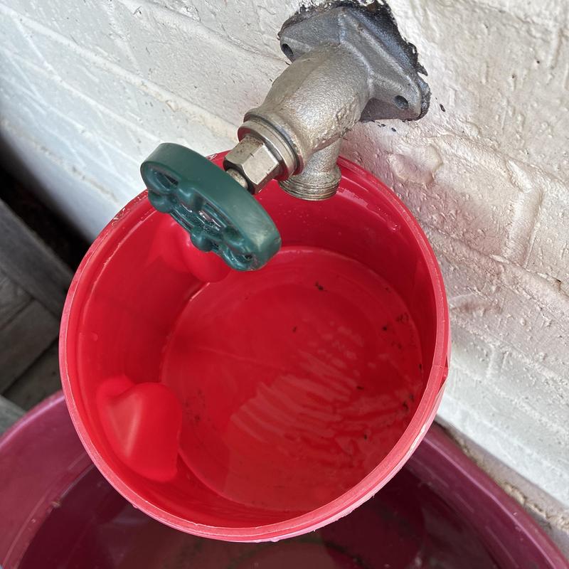 Outdoor water spigot with red bucket collecting water Outdoor water spigot with red bucket collecting water