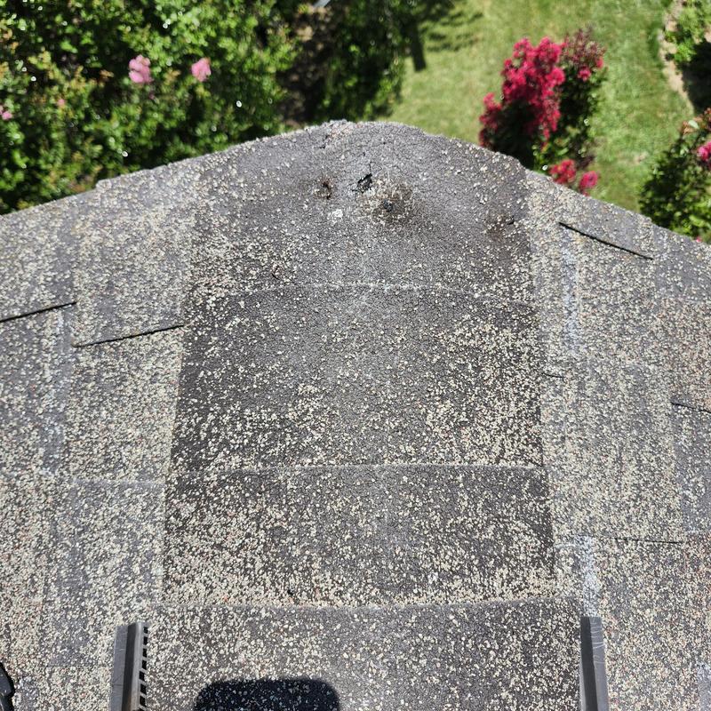 Asphalt roof shingles with granule loss and damage