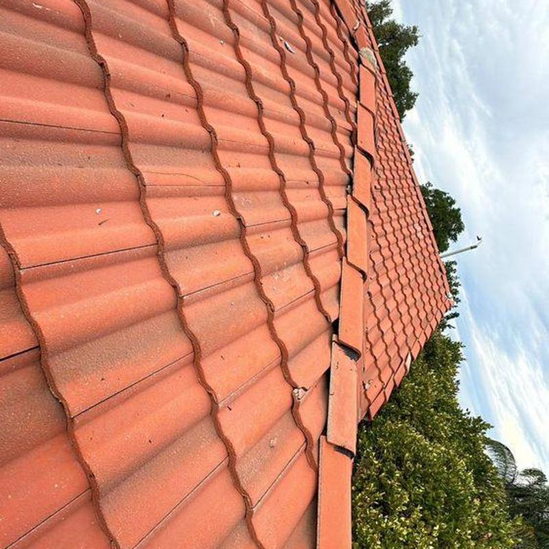 Tile roof with minor damage and debris on tiles Tile roof with minor damage and debris on tiles