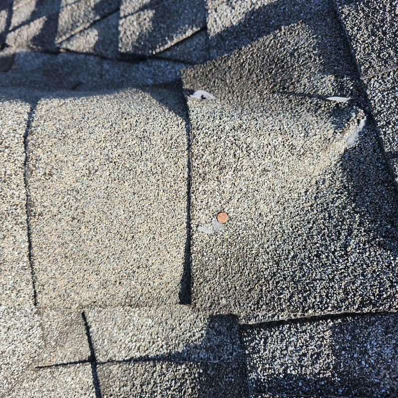 Asphalt roof shingles with visible nail head and damage
