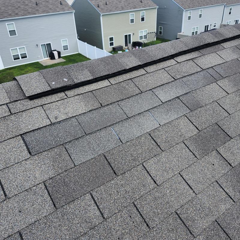 Asphalt roof shingles with loose and missing sections