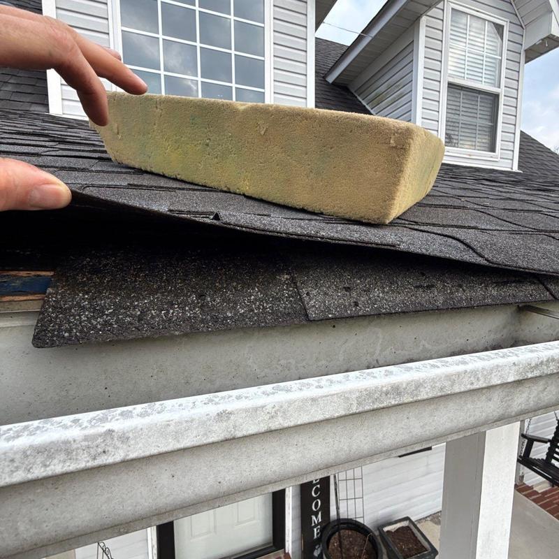 Asphalt shingles lifting with underlying damage on roof edge