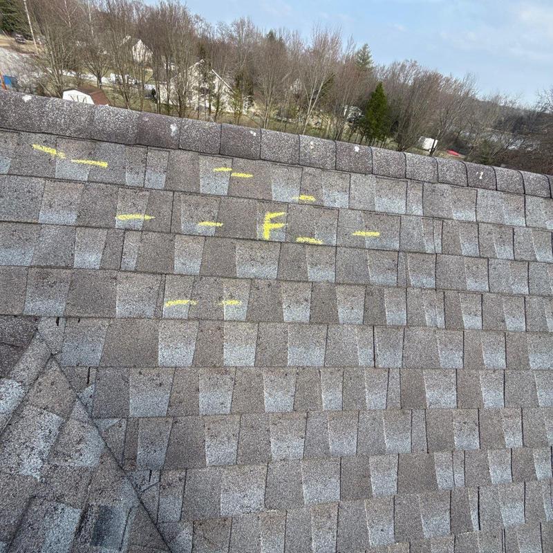 Asphalt shingle roof with hail damage markings