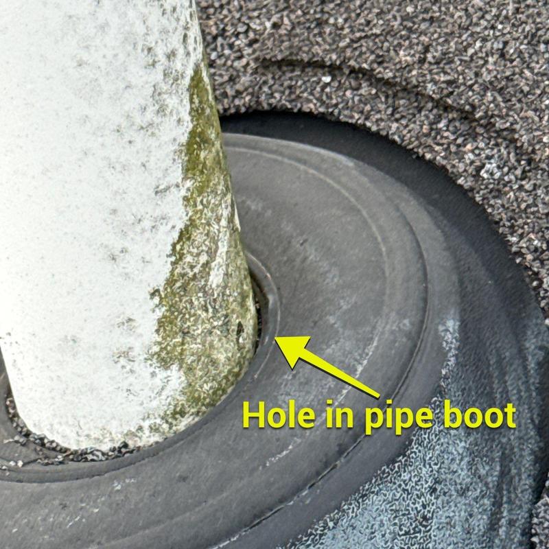 Pipe boot with hole on asphalt shingle roof