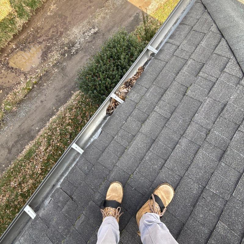 Asphalt shingle roof and gutter debris inspection