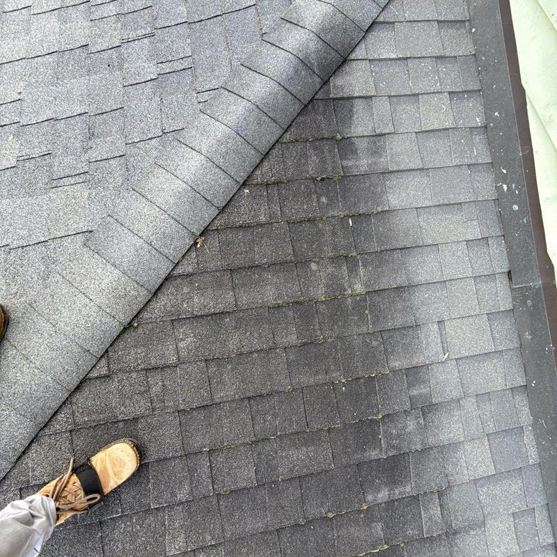 Asphalt shingle roof with lifted underlayment and worn area